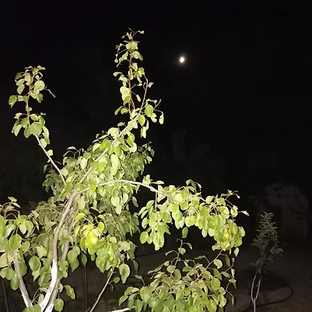 Veranda Plati (Crete)